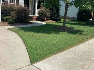 Donna C.'s lawn maintenance service result