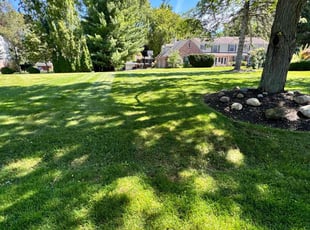 Wanda F.'s grass cutting service result