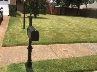 Amy G.'s yard maintenance service result