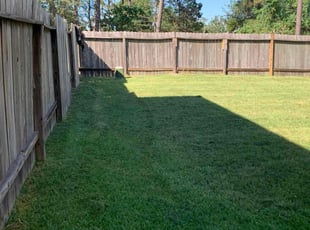 Michele P.'s grass cutting service result