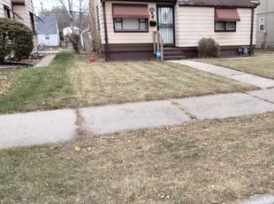 Carol R.'s Leaf Removal service result