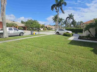 Jasmine M.'s turf maintenance service result