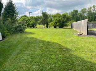 Steven R.'s lawn maintenance service result