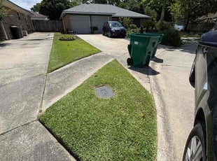 Windy K.'s turf maintenance service result