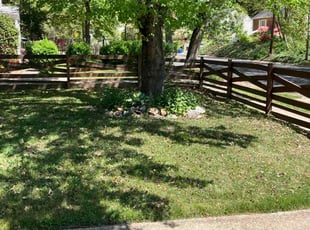 Lori C.'s turf maintenance service result