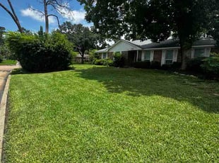 Betty B.'s turf maintenance service result