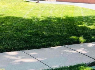 Marvin B.'s lawn care services service result