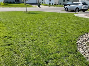 Linda P.'s turf maintenance service result