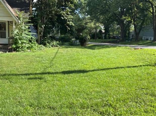 Keron B.'s lawn care services service result