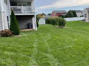Joy A.'s landscape maintenance service result