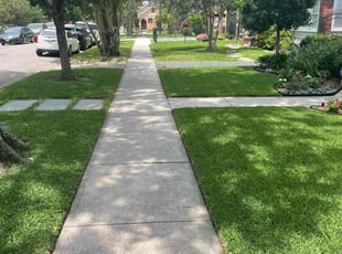 Irma S.'s grass cutting service result