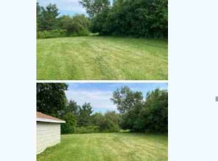 Jackie F.'s grass maintenance service result