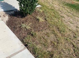 Amber T.'s Flower Bed Weeding service result