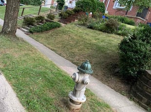 Emily S.'s lawn care services service result