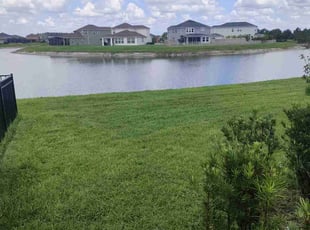 Teresa L.'s lawn care service result