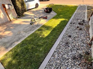 Jennifer W.'s turf maintenance service result