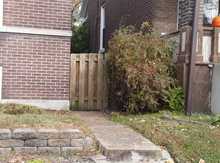 Oscar B.'s Bush Trimming service result
