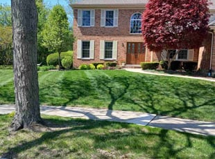 Andrea H.'s grass cutting service result
