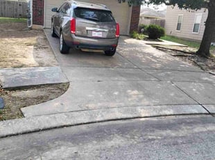 Laura M.'s Leaf Removal service result