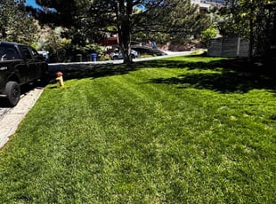 Jeff C.'s lawn care services service result