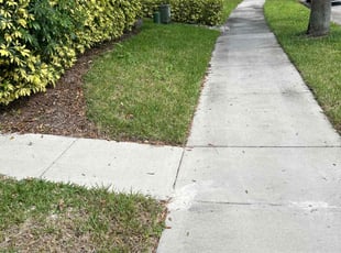 Earl S.'s lawn care service result
