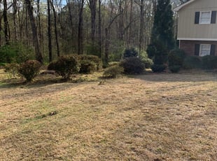 Mary G.'s Bush Trimming service result