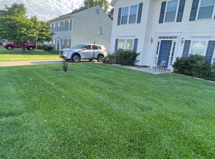 Cristina F.'s lawn maintenance service result