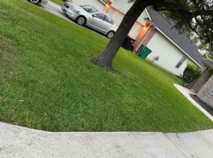 Charity R.'s grass cutting service result