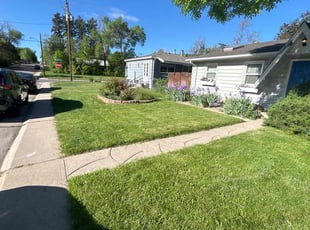 Jim B.'s turf care service result