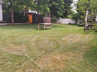 Nancy M.'s lawn care services service result