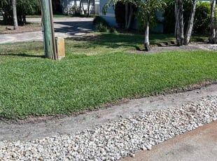 Chris M.'s grass maintenance service result