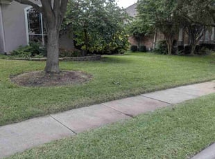 Ryan T.'s turf care service result