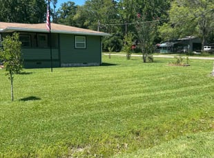 Donna D.'s turf maintenance service result