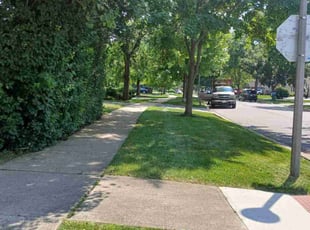 George C.'s grass cutting service result