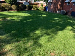 Kevin G.'s lawn care service result