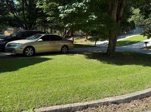 Lolly W.'s lawn service service result