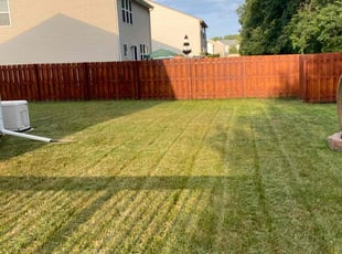 Vijayta K.'s lawn service service result