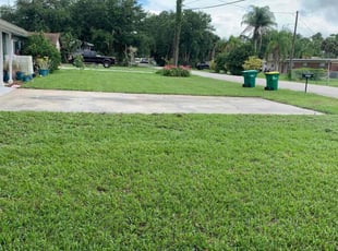 Wahib S.'s grass cutting service result