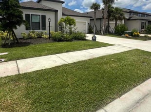 Mike H.'s lawn care service result