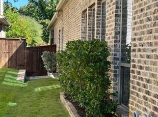 Sharron J.'s Bush Trimming service result