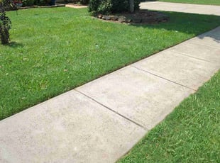 Debbie L.'s lawn care services service result