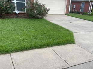 Margaret D.'s lawn care service result