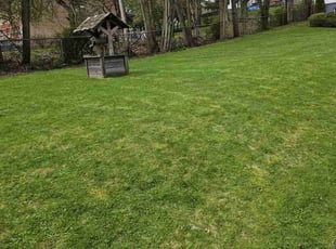 Debbie W.'s lawn service service result