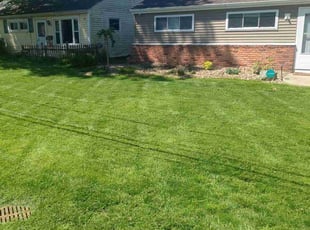 Shana H.'s turf care service result