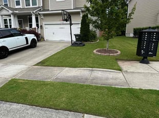 Thomas B.'s yard service service result