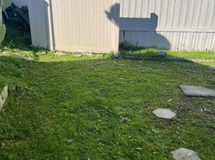 Nancy T.'s lawn maintenance service result
