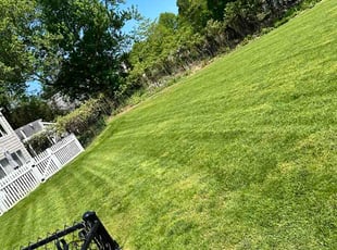 Mel M.'s turf maintenance service result