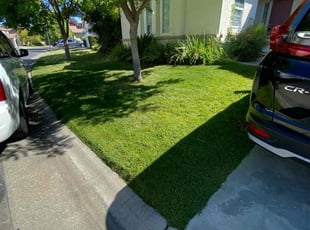 Anna H.'s lawn care service result