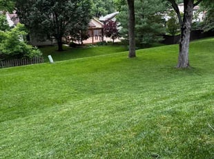 David C.'s landscape maintenance service result