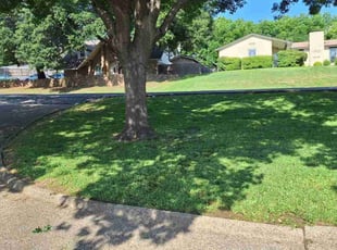 Rojean S.'s lawn service service result